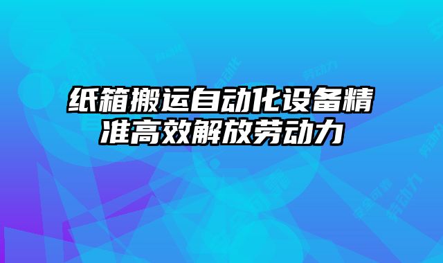 紙箱搬運自動化設(shè)備精準(zhǔn)高效解放勞動力